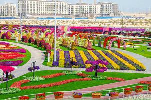 парк цветов в Дубае фото