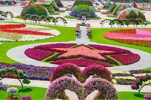 парк цветов Дубай, как добраться