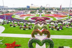 парк цветов в Дубае