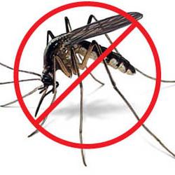 как бороться с комарами