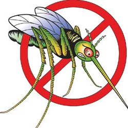 как бороться с комарами на даче