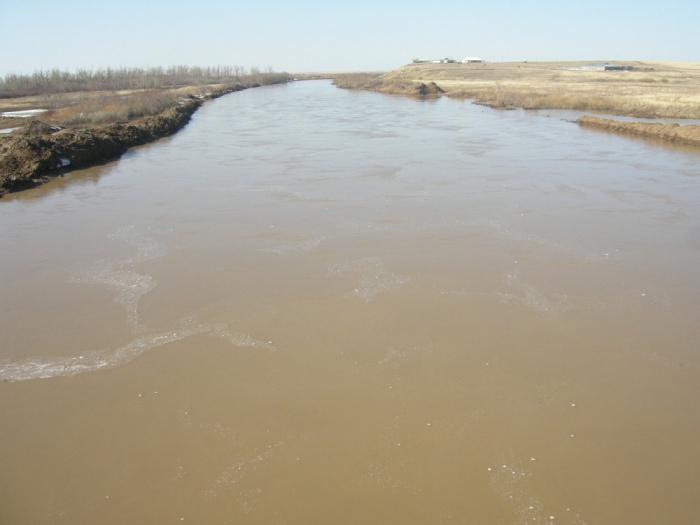 разлив реки нура