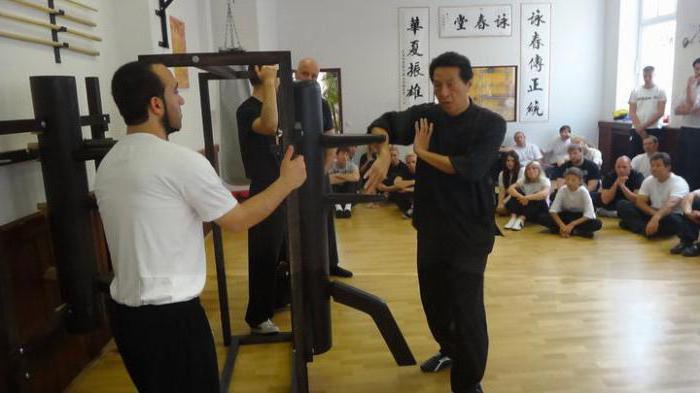 грандмастер ип мэн ip man