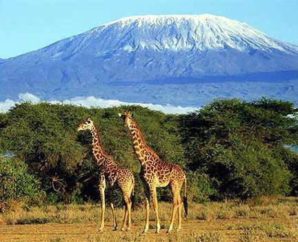 Mount Kilimanjaro