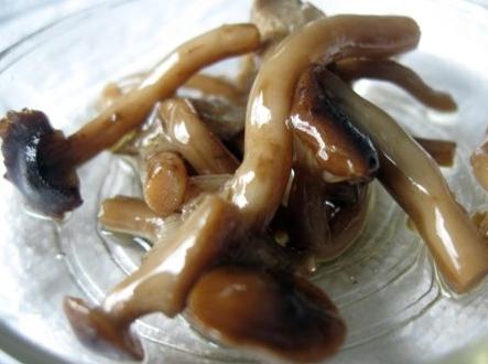 pickled mushroom dishes