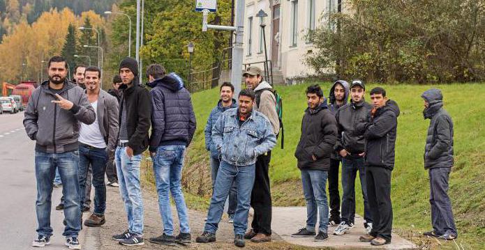 статус беженца германия