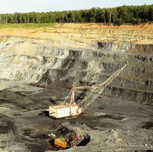 Полезные ископаемые в сибири в новосибирске