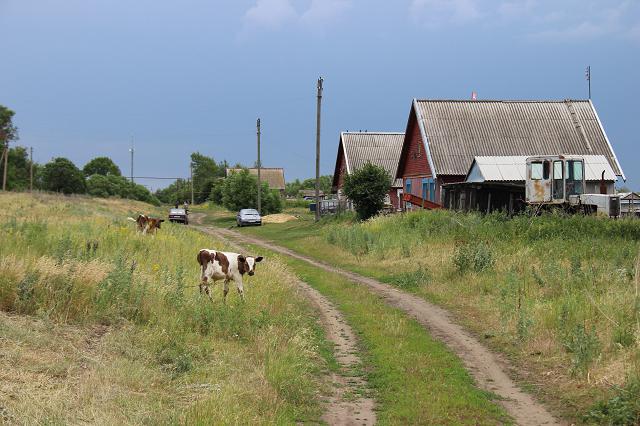 Дер численность. Деревни Пензенской области. Пензенская область села и деревни. Сёла в Пензенской области. Истамбул Пензенская область.