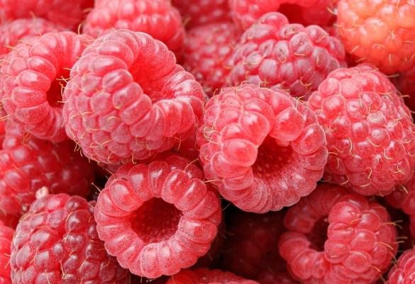 grated raspberries with sugar for the winter