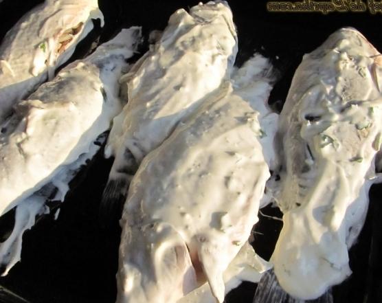 crucian sour cream recipe photo