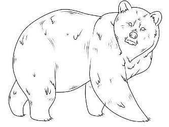 как нарисовать Машу и Медведя