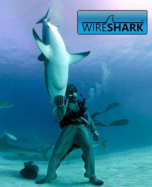 wireshark how to use