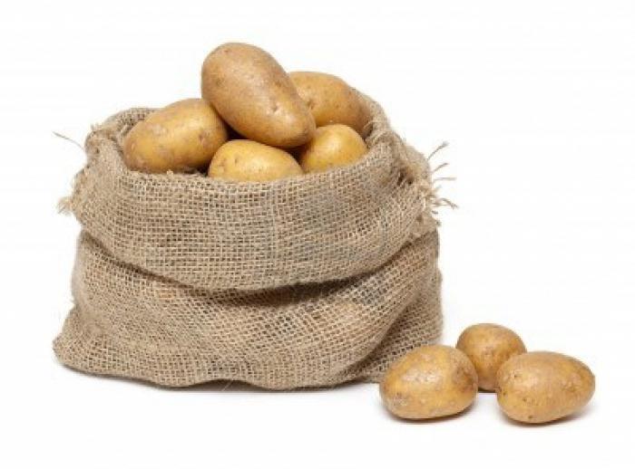 как правильно посадить картофель
