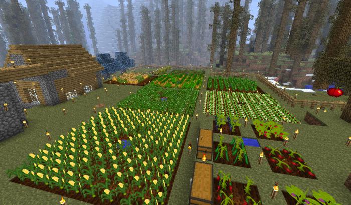 what you can eat in minecraft