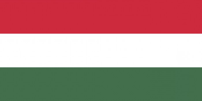 Бело-красно-зеленый флаг