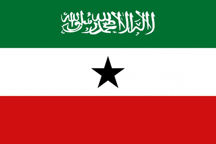 Флаг Сомали: фото