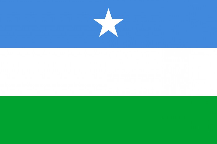 Как выглядит флаг Сомали?