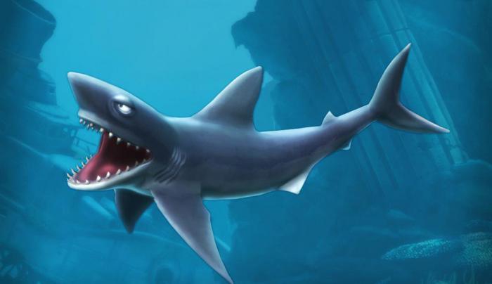 секреты игры hungry shark evolution
