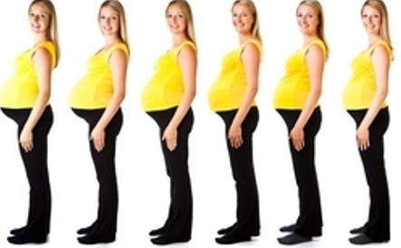 Форма живота при беременности мальчиком фото