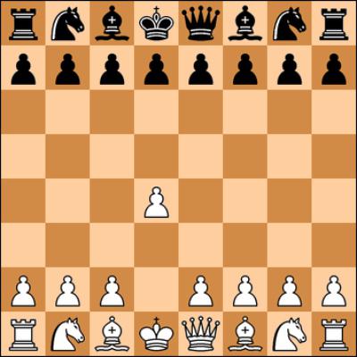 шахматные термины