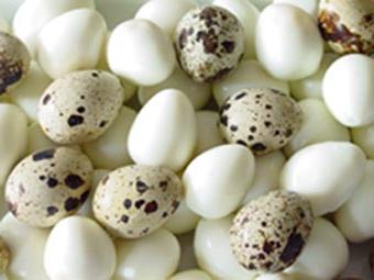 польза перепелиных яиц