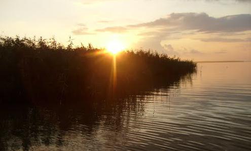 Lotus Valley in the Akhtaniz estuary