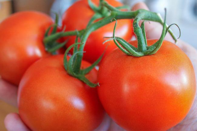 Как сохранить помидоры свежими долго