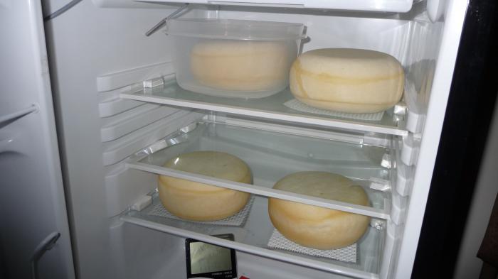 Как подольше сохранить сыр в холодильнике
