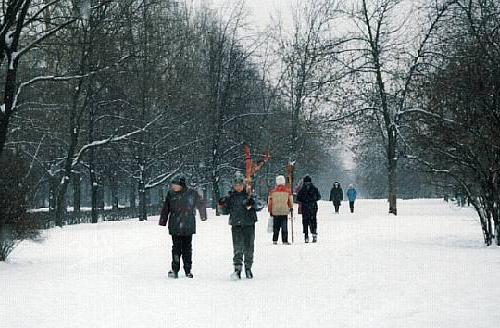 Где отдохнуть и покататься с горки в Москве на лыжах