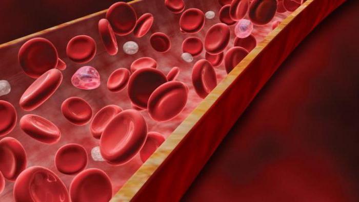 Анализ крови переизбыток белка в thumbnail