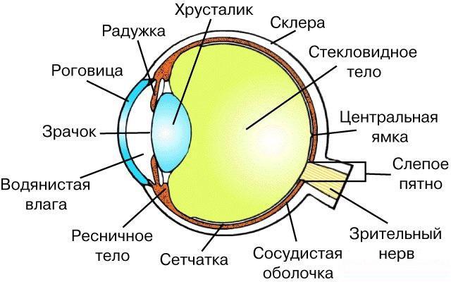 where is the analysis of visual irritation