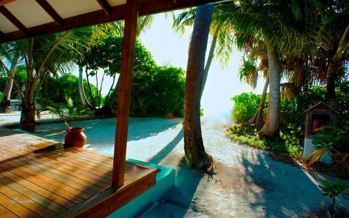 canareef resort maldives 4
