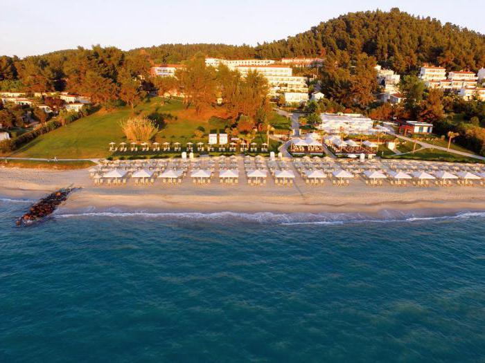 отель aegean melathron thalasso spa hotel 5 греция отзывы 