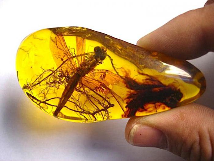 why amber is called a sun stone