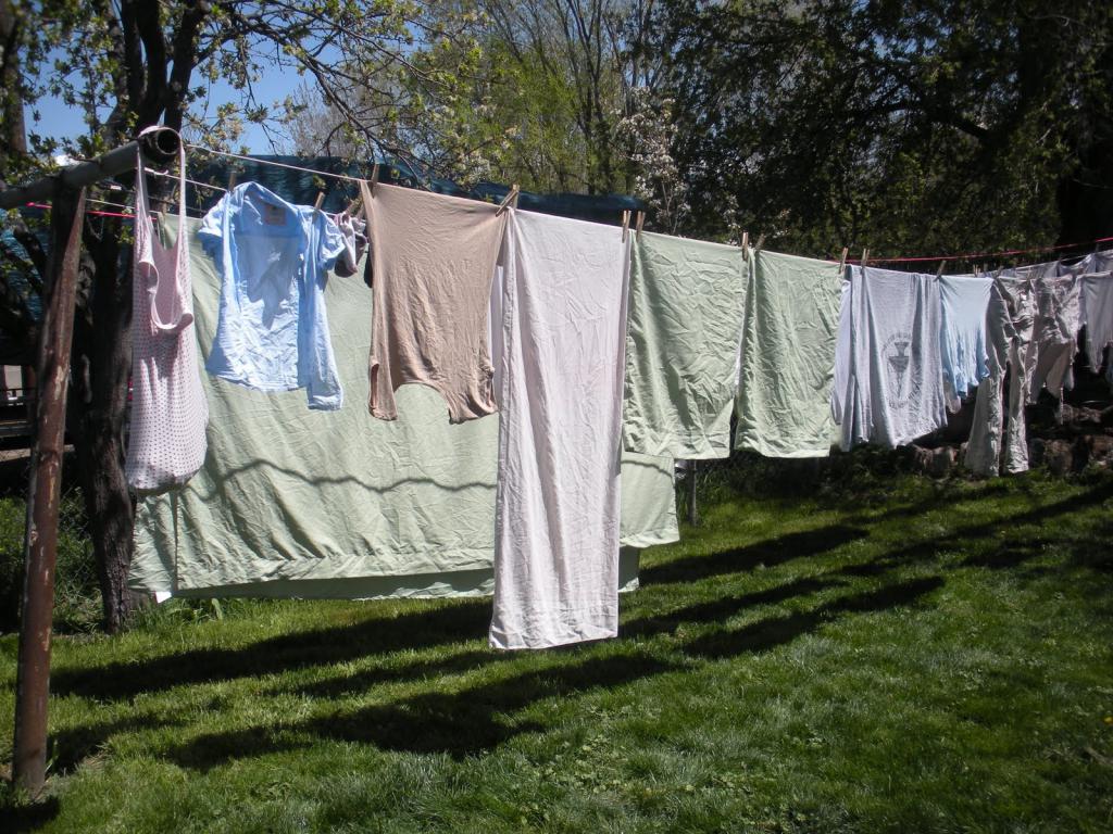 What does the washed laundry on the rope dream about?