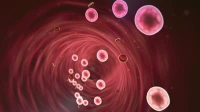 как понизить лейкоциты в крови