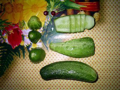 how to make crocodile from cucumber