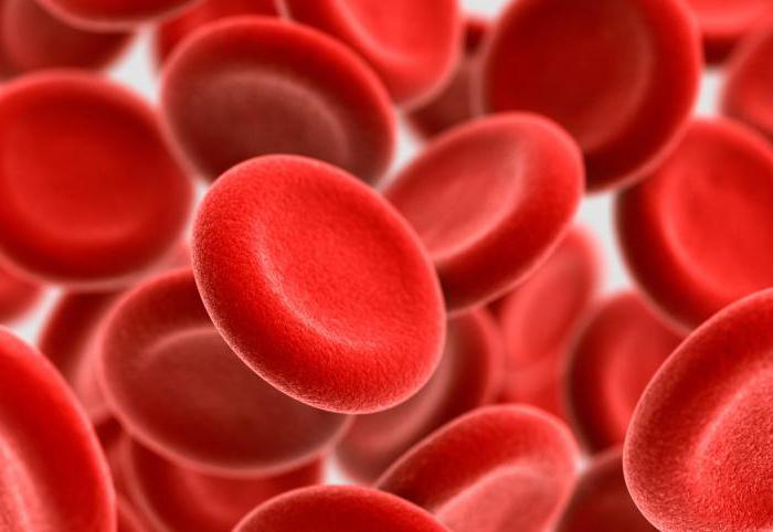 миелоциты нормы в анализе крови причины повышения