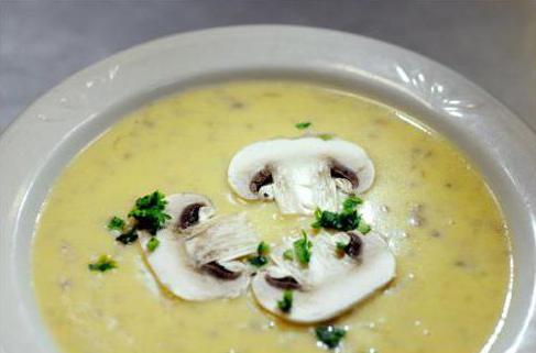 mushroom puree soup with melted cheese