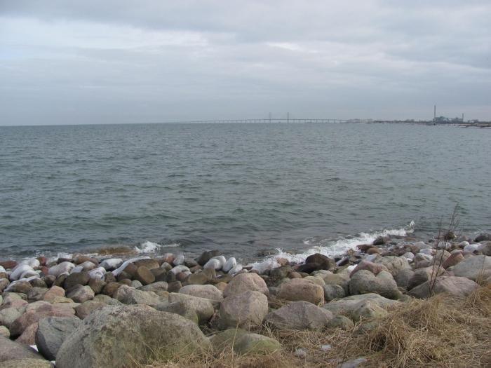 Температура моря в балтийске. Теплое ли Балтийское море. Балтийское море вода. Температура Балтийского моря.