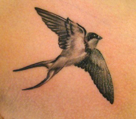 photo swallow tattoo