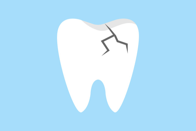 какие зубы ставят на жевательные зубы