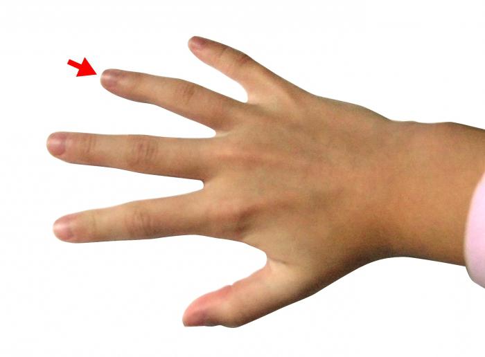 безымянный палец правой руки
