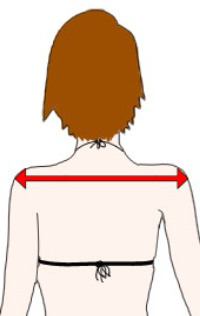 shoulder width measurement