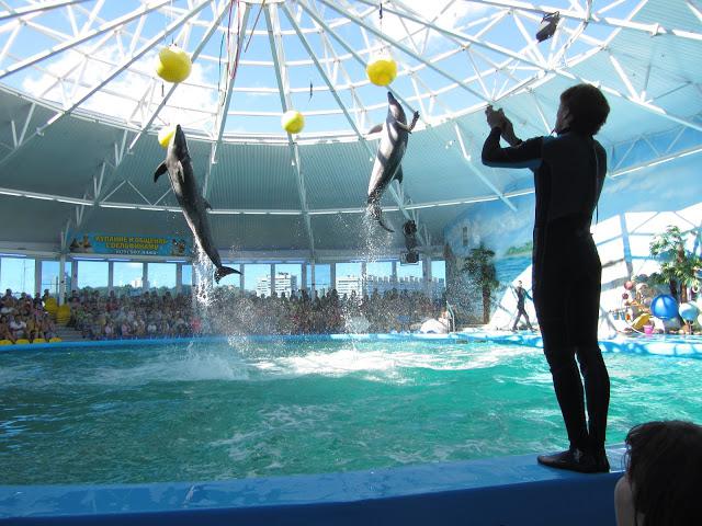 дельфинарий в минске в зоопарке