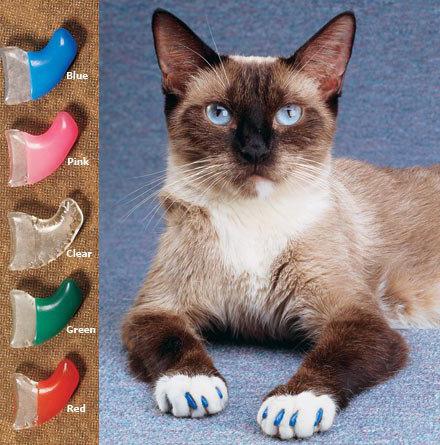 Накладные ногти для кошек фото