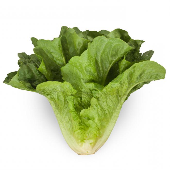 салат зеленый