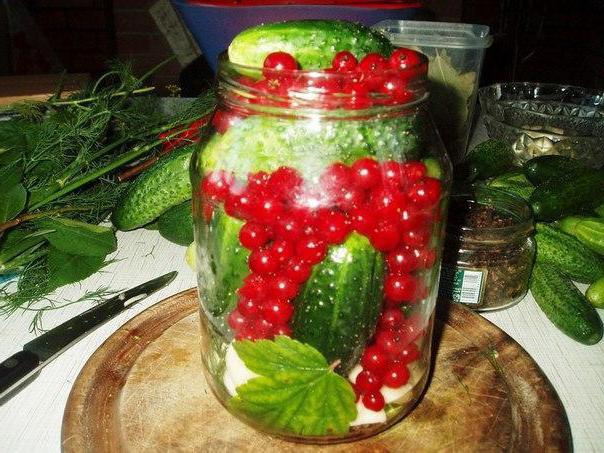 redcurrant cucumber