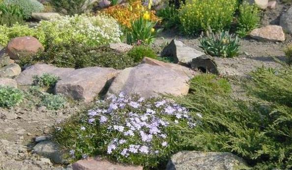 do-it-yourself alpine slide