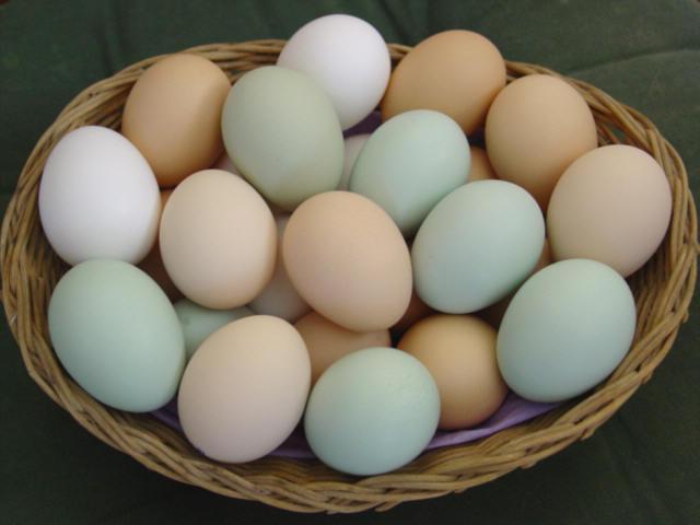  сколько белков в курином яйце